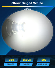 ALOPEE 1156 LED Bulb Bright White 1141 LED Bulb DC 12V 1156 Bulb Replacement for 1156 7506 1141 1003 RV LED Lights Interior Camper Light Bulbs Trailer Boat RV Light Bulbs 3014 54SMD, Pack of 12